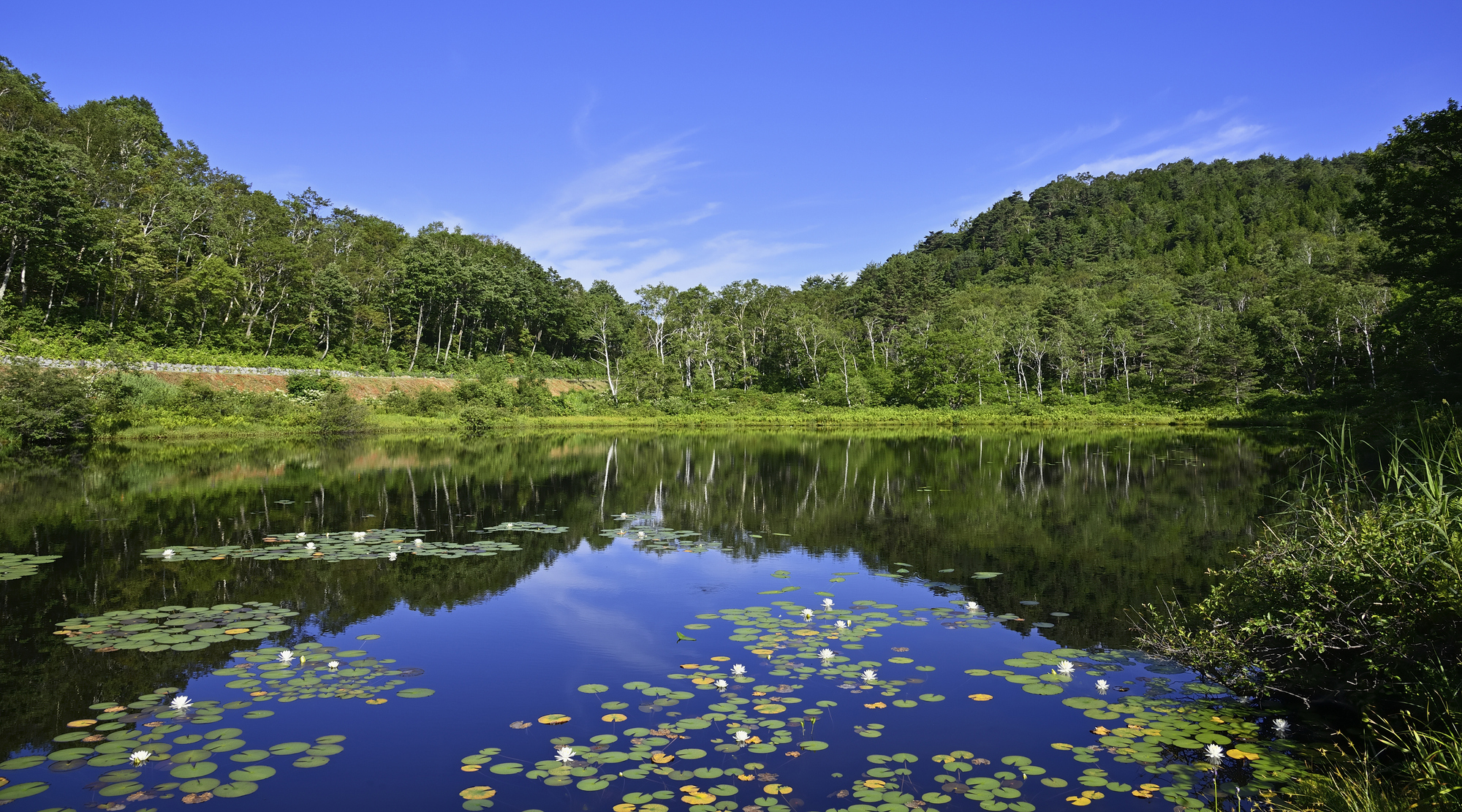 志賀高原　一沼（イメージ）