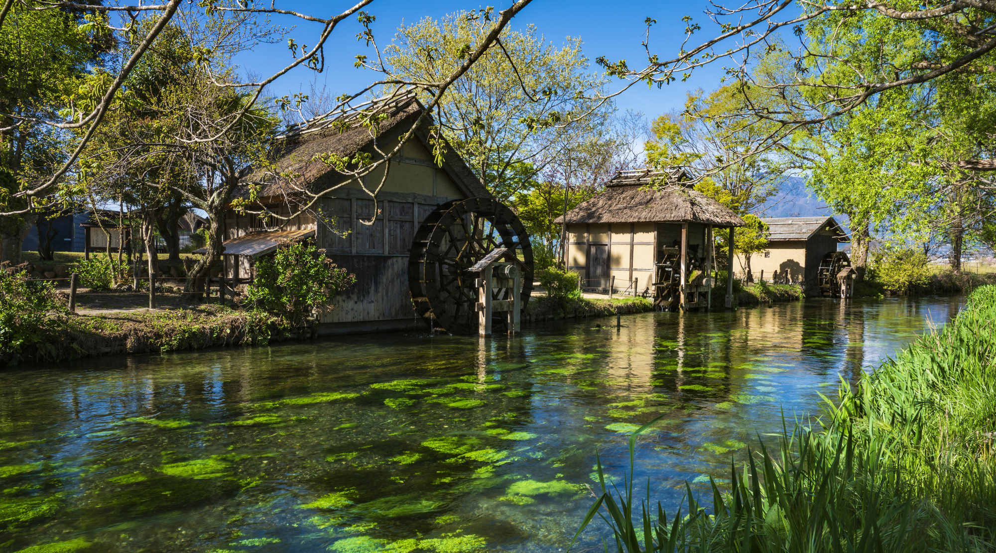 安曇野「大王わさび農場」（イメージ）