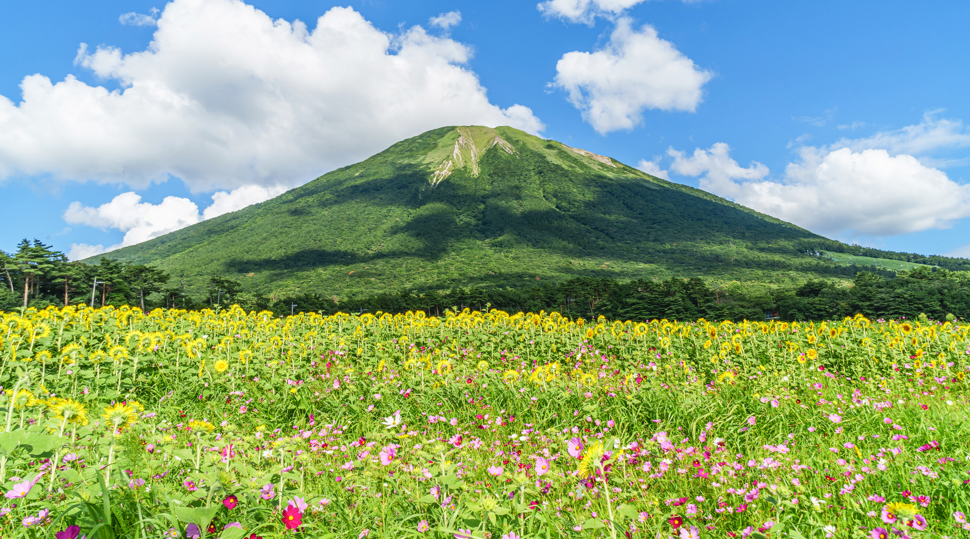 大山（イメージ）