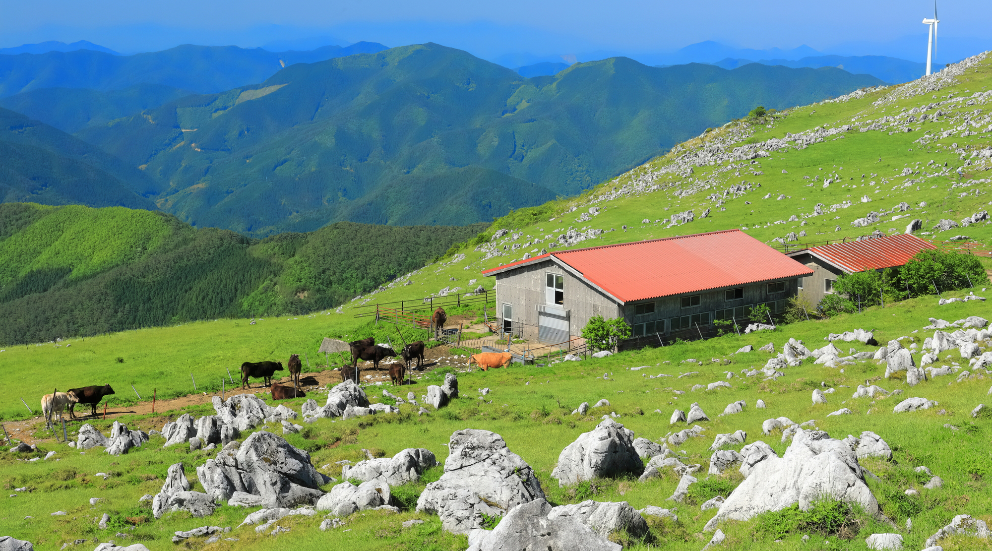 四国カルスト（イメージ）