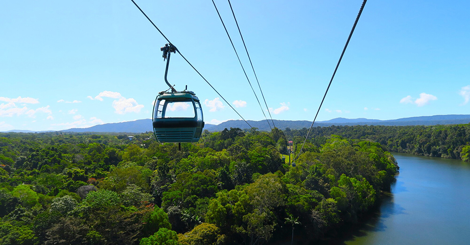 スカイレール・レインフォレスト・ケーブルウェイ（イメージ）