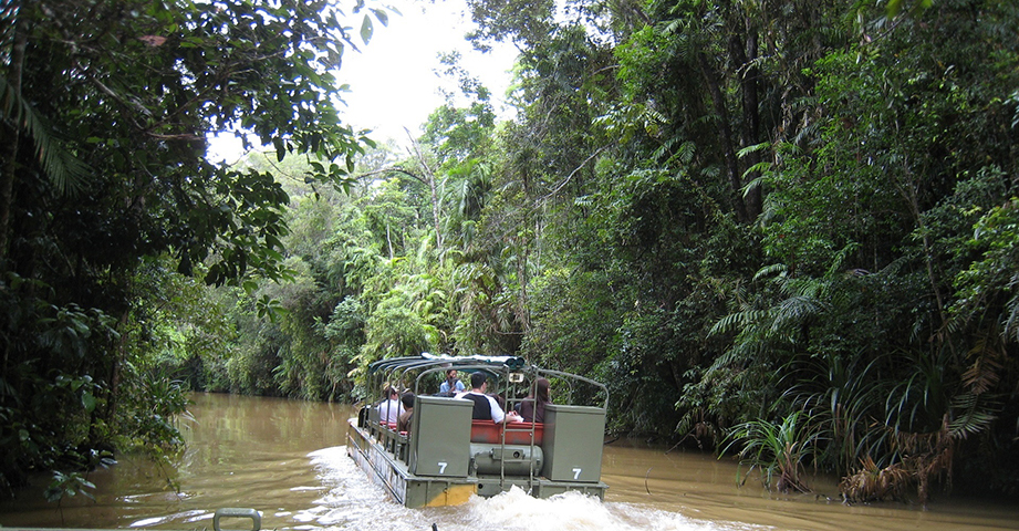 レインフォレステーション（イメージ）