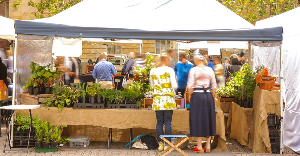 サラマンカ・マーケット（イメージ）