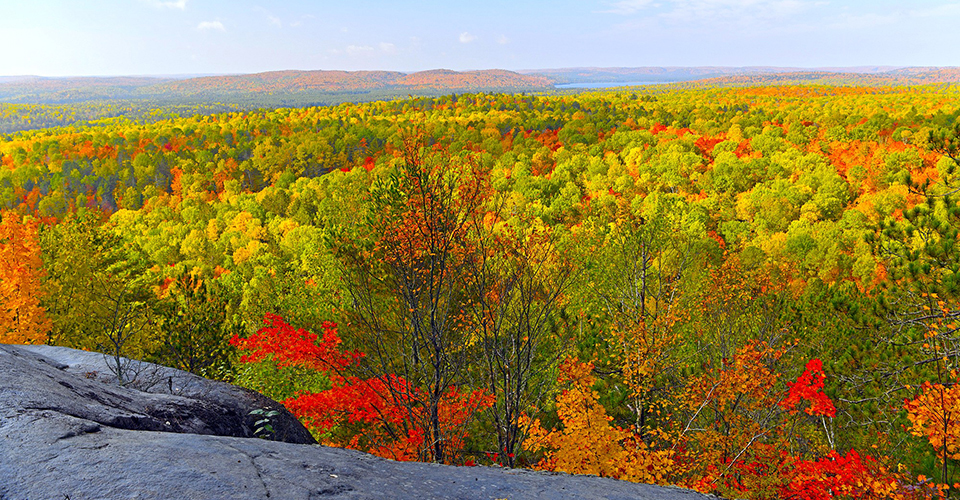 アルゴンキン州立公園（イメージ）
