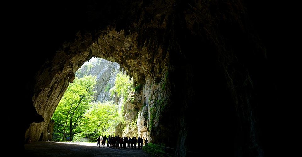 シュコツィアン洞窟群の入口(イメージ)