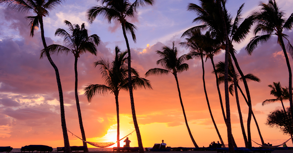 大人気 美しい自然と買い物天国ハワイ観光15選 クラブツーリズム