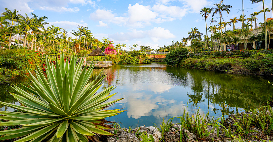 東南植物楽園（イメージ）