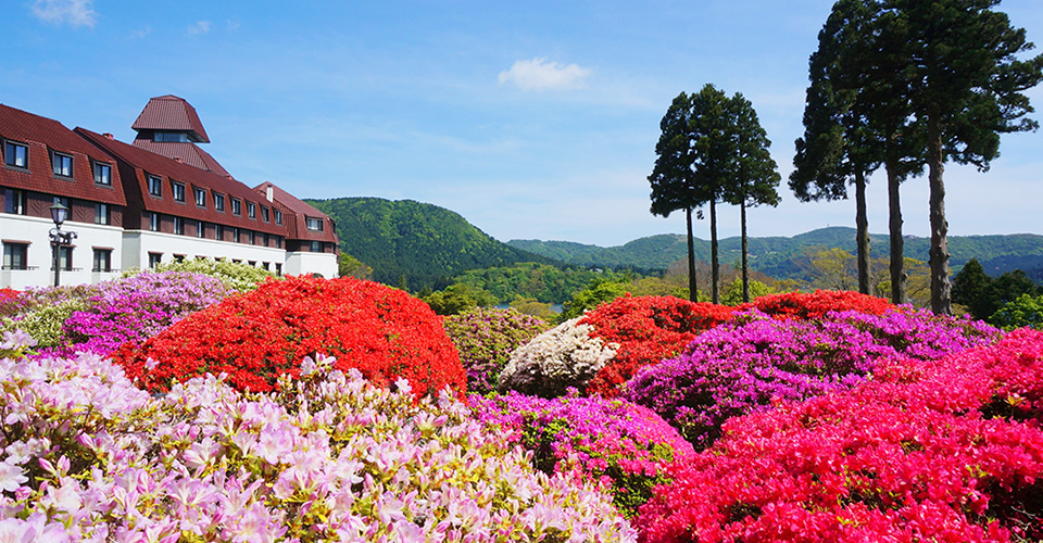 山のホテル つつじ(イメージ)