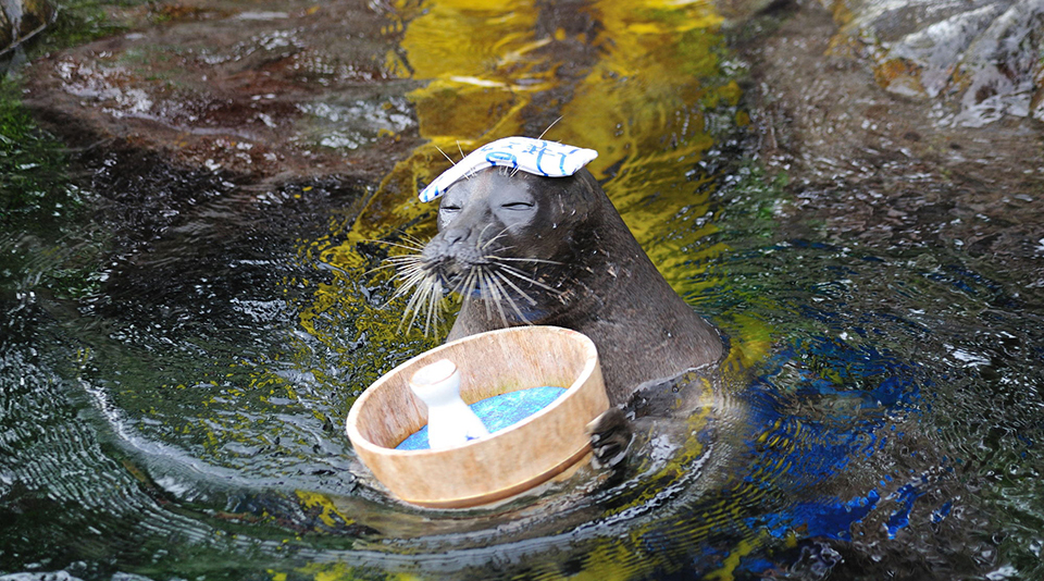 箱根園（イメージ）