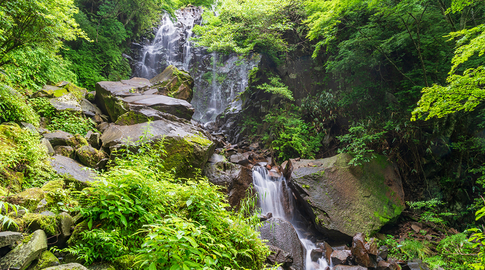 飛龍の滝（イメージ）