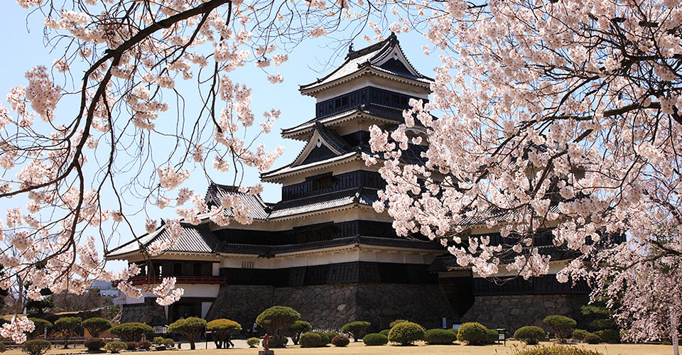 春の松本城(イメージ)