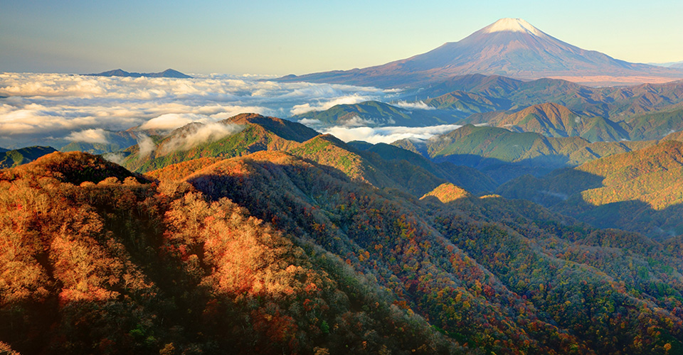 丹沢(イメージ)