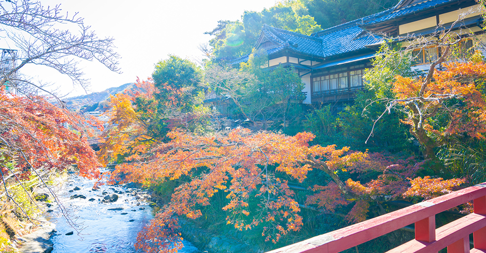 湯河原温泉(イメージ)