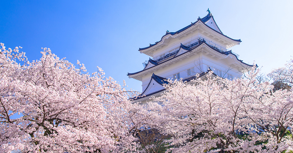 小田原城／小田原城址公園(イメージ)