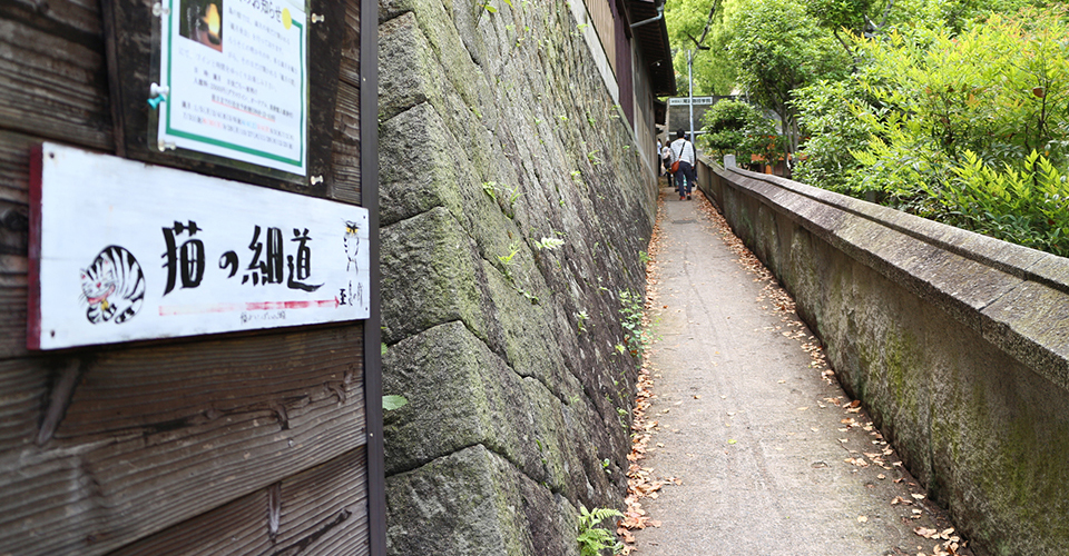 猫の細道(イメージ)