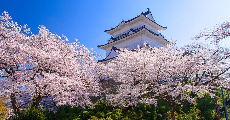 小田原 