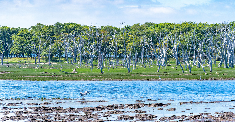 野付半島(イメージ)