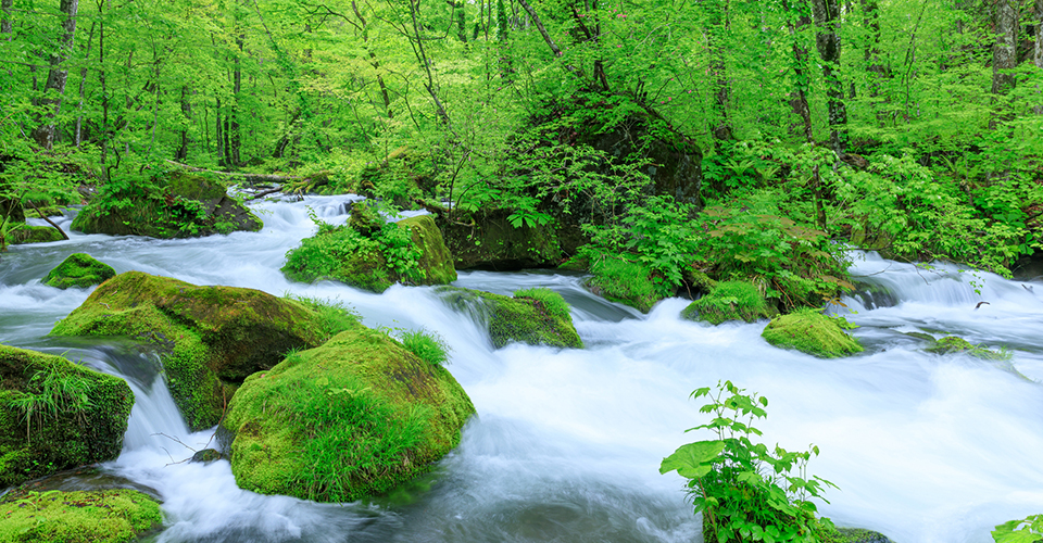 奥入瀬渓流(イメージ)