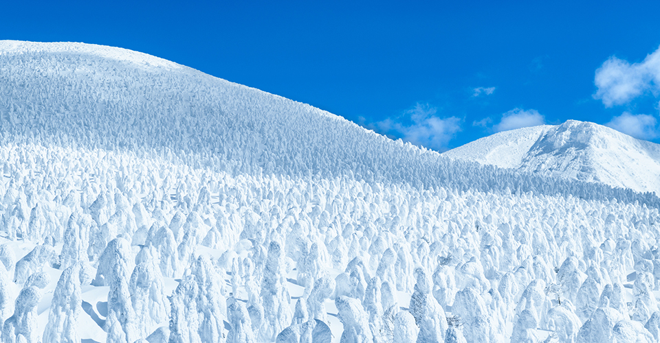 蔵王の樹氷(イメージ)
