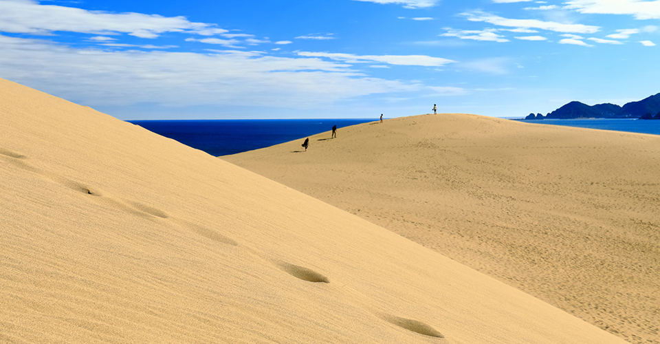 鳥取砂丘(イメージ)