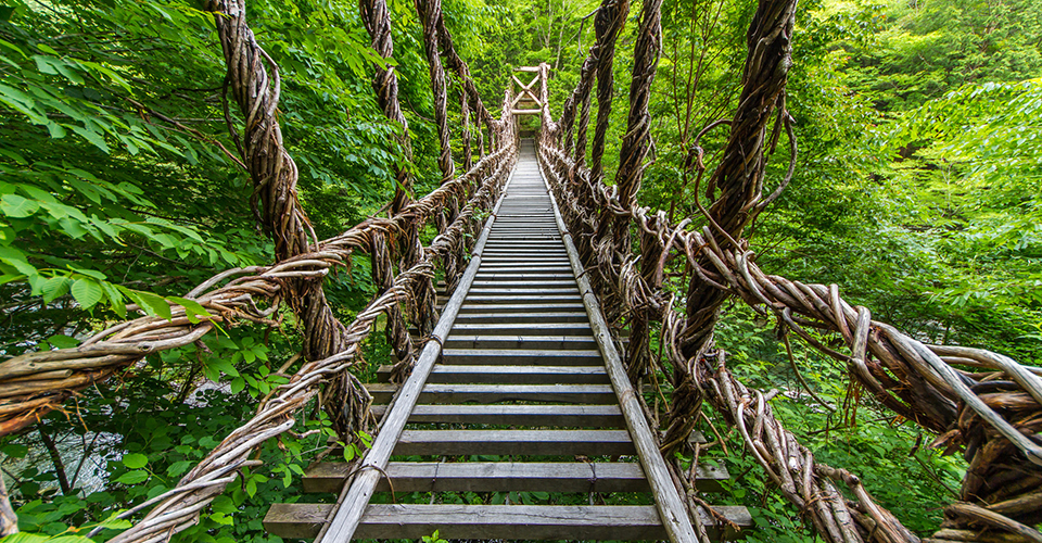かずら橋（イメージ）