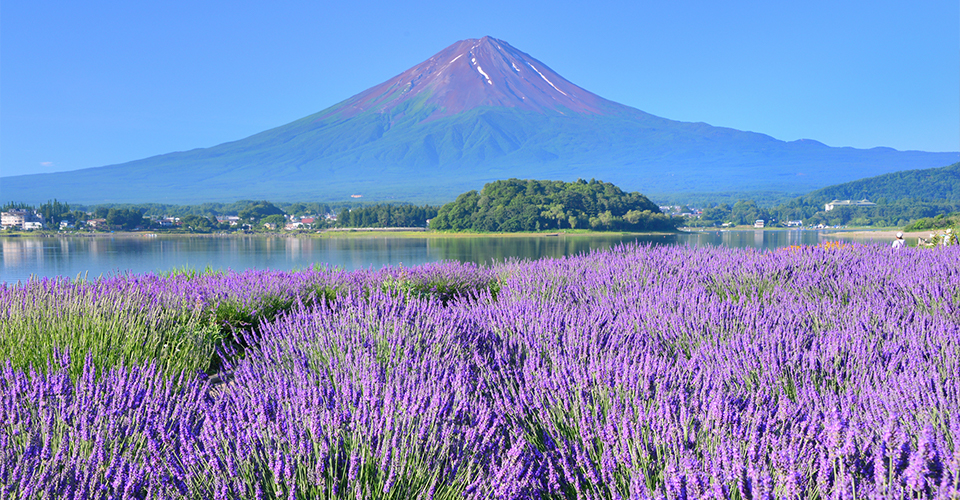 大石公園(イメージ)