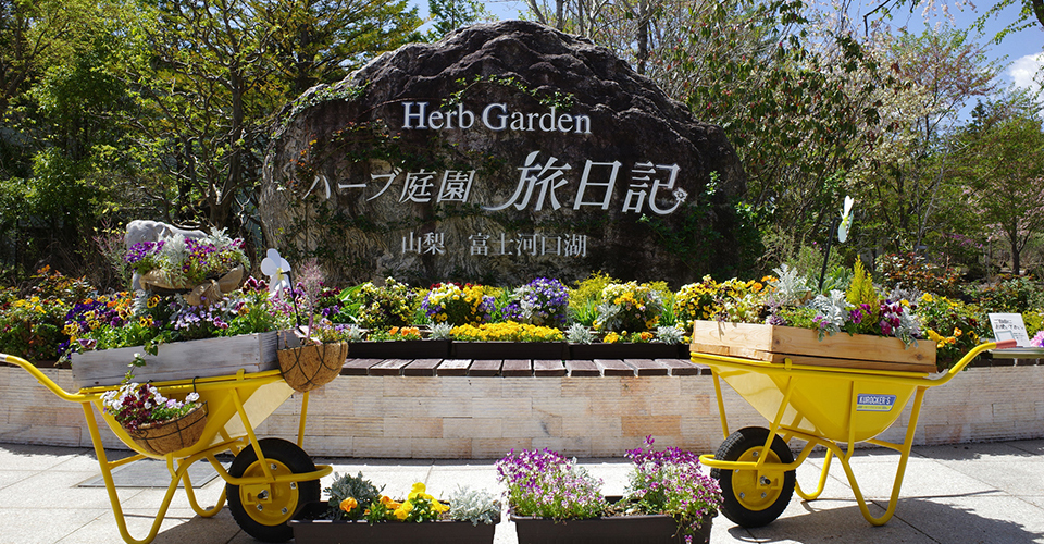 ハーブ庭園旅日記 富士河口湖庭園(イメージ)