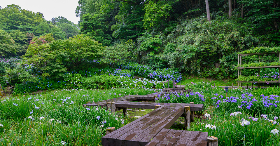 卯辰山公園(イメージ)
