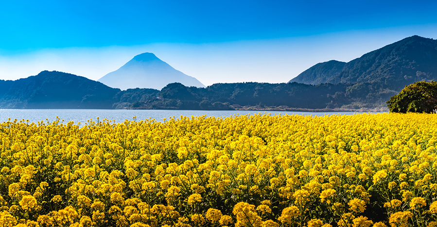 池田湖(イメージ)