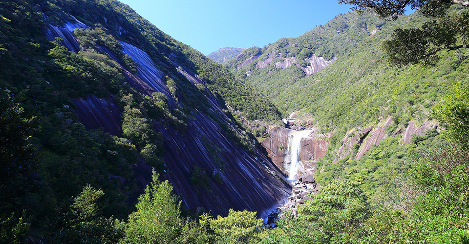 屋久島(イメージ)