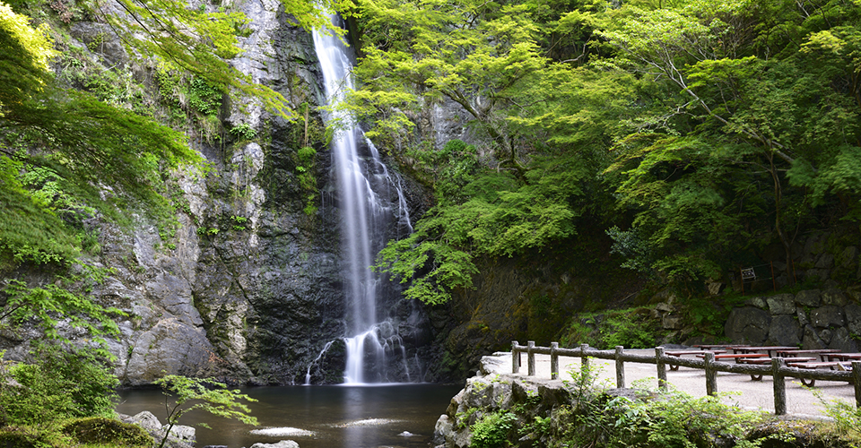 箕面の滝（イメージ）