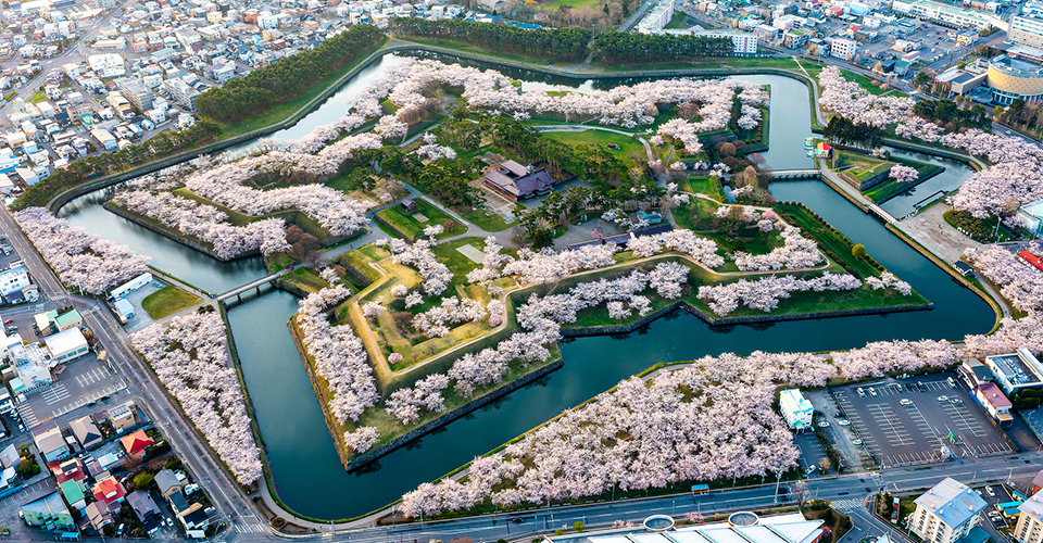 五稜郭公園(イメージ)