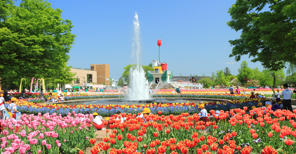 砺波チューリップ公園(イメージ)