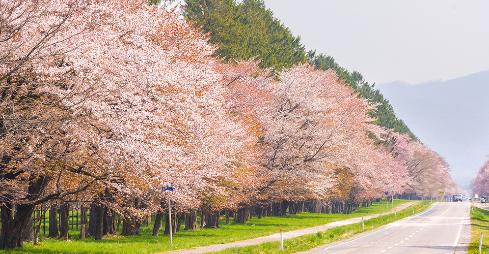 北海道(イメージ)