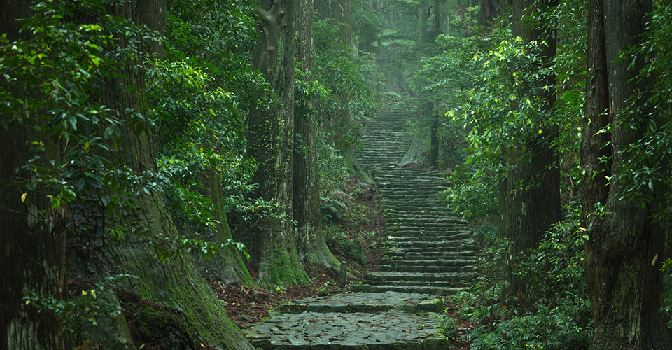 熊野古道（イメージ）