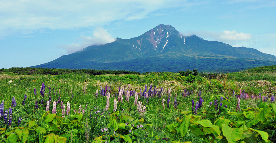利尻山（イメージ）