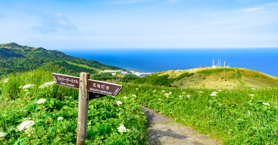 桃岩展望台（イメージ）