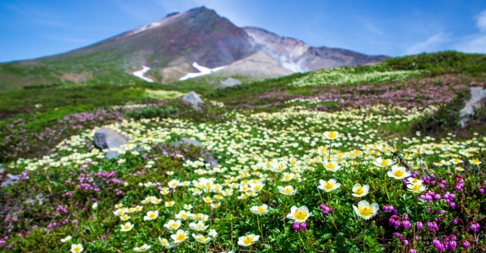 大雪山（イメージ）