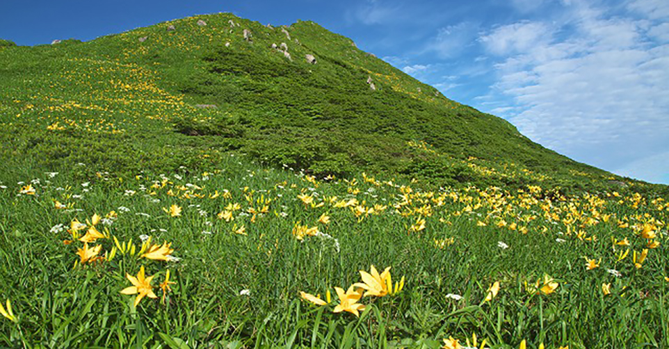 秋田駒ヶ岳（イメージ）