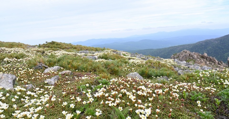 早池峰山（イメージ）