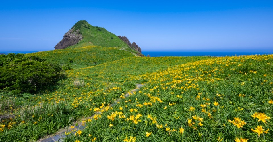 大野亀（イメージ）