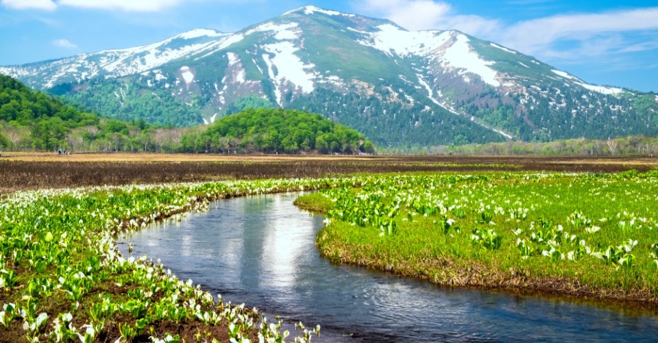 尾瀬（イメージ）