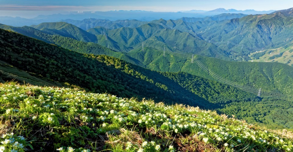 平標山（イメージ）