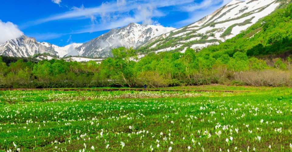 栂池自然園（イメージ）