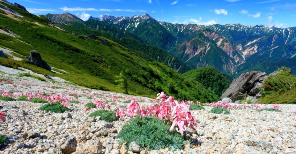 燕岳（イメージ）