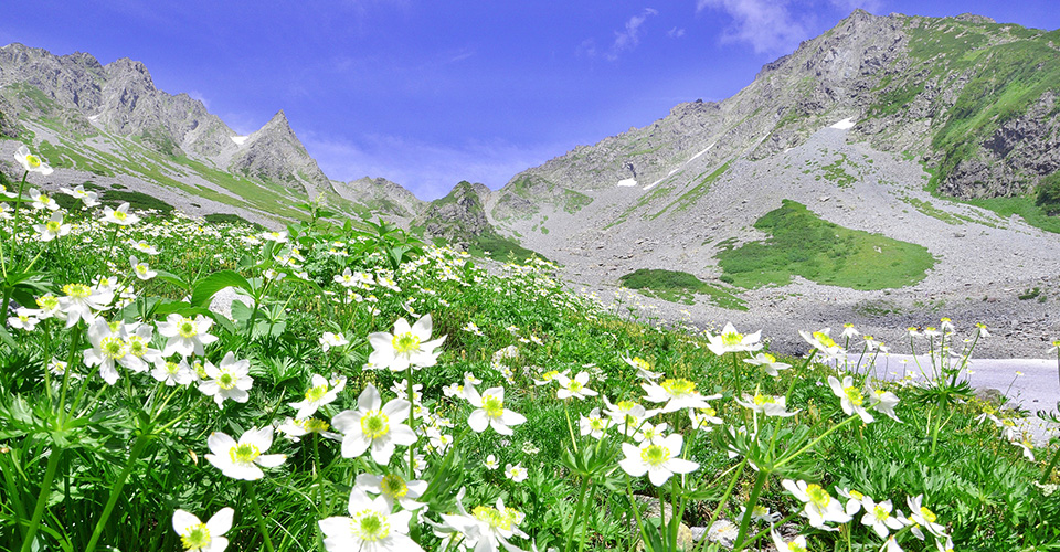 涸沢カール（イメージ）