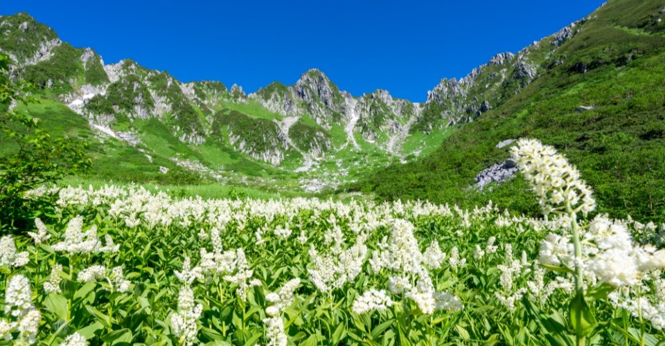 千畳敷カール（イメージ）