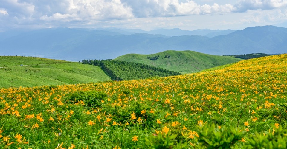 霧ヶ峰（イメージ）