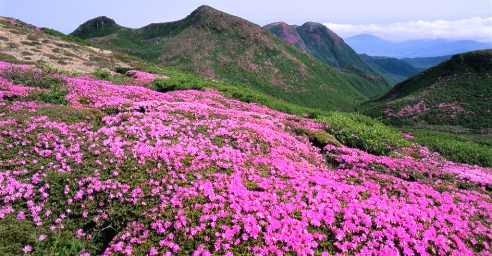 九重連山（大分県）（イメージ）
