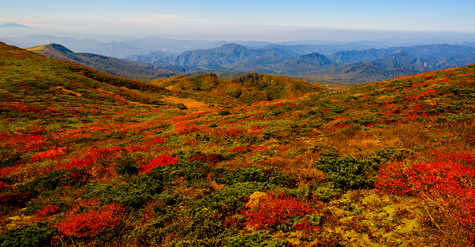 栗駒山（イメージ）